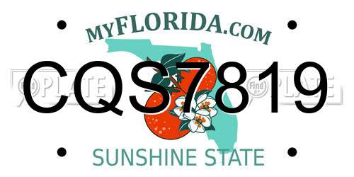CQS7819 Florida License Plate