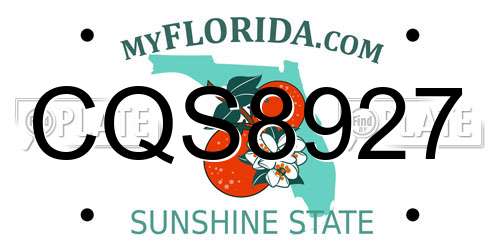 CQS8927 Florida License Plate