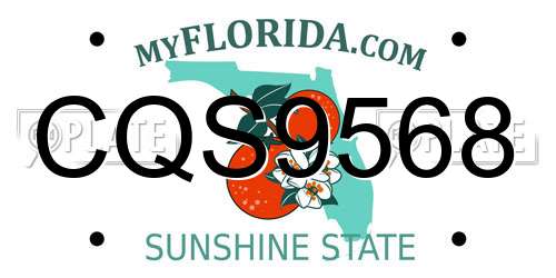 CQS9568 Florida License Plate
