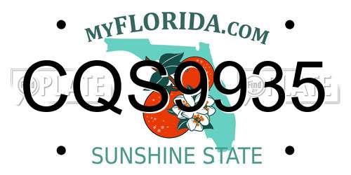 CQS9935 Florida License Plate