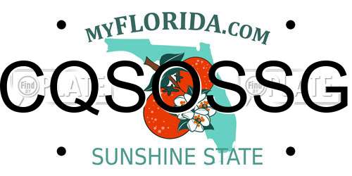 CQSOSSG Florida License Plate