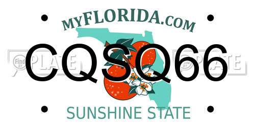 CQSQ66 Florida License Plate