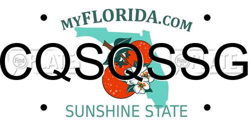 CQSQSSG Florida License Plate