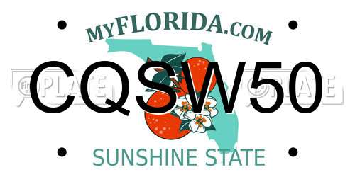 CQSW50 Florida License Plate
