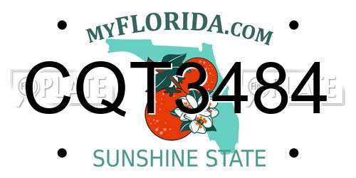 CQT3484 Florida License Plate