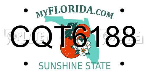 CQT6188 Florida License Plate