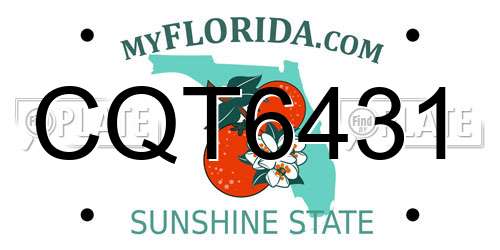 CQT6431 Florida License Plate