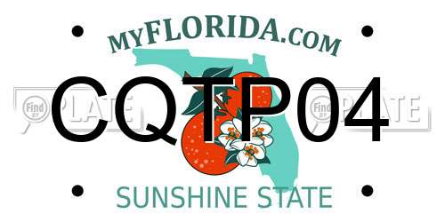 CQTP04 Florida License Plate