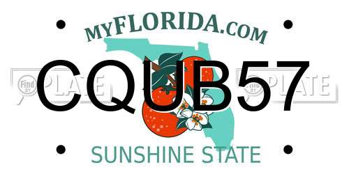 CQUB57 Florida License Plate