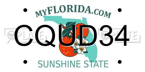 CQUD34 Florida License Plate