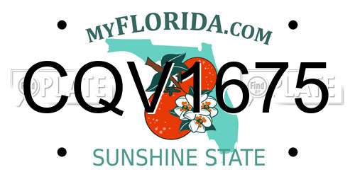 CQV1675 Florida License Plate