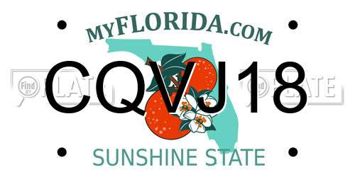 CQVJ18 Florida License Plate
