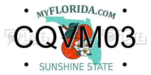 CQVM03 Florida License Plate