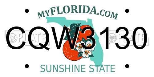 CQW3130 Florida License Plate