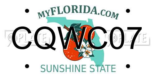 CQWC07 Florida License Plate