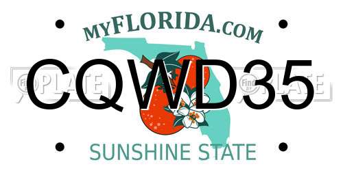 CQWD35 Florida License Plate