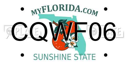 CQWF06 Florida License Plate