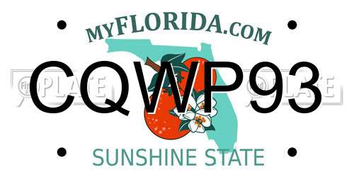 CQWP93 Florida License Plate