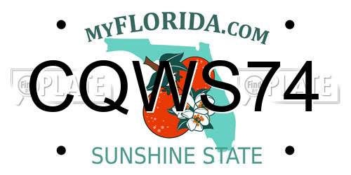 CQWS74 Florida License Plate