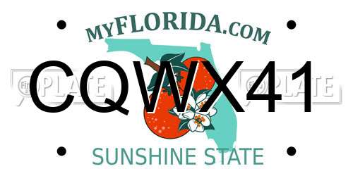 CQWX41 Florida License Plate