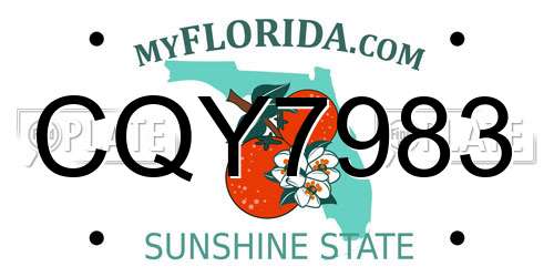 CQY7983 Florida License Plate
