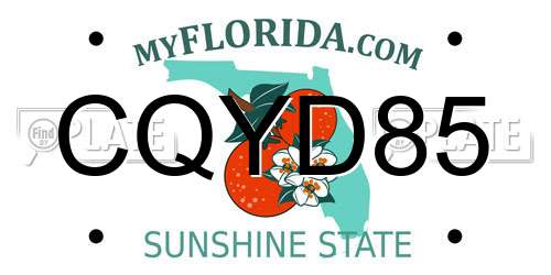 CQYD85 Florida License Plate