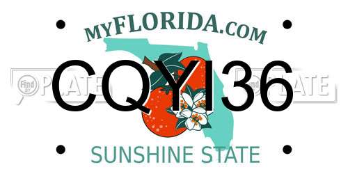 CQYI36 Florida License Plate