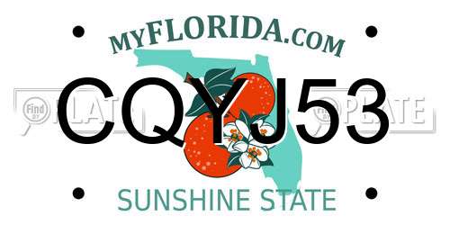 CQYJ53 Florida License Plate