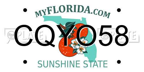 CQYO58 Florida License Plate