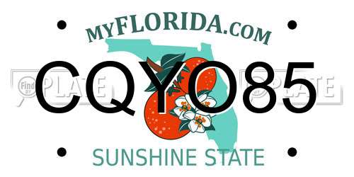 CQYO85 Florida License Plate