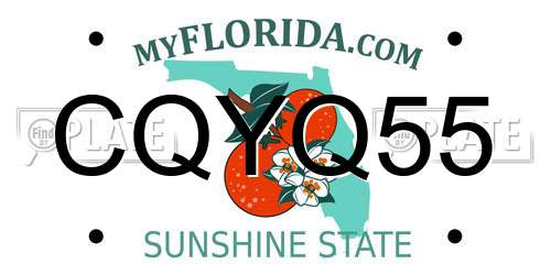 CQYQ55 Florida License Plate