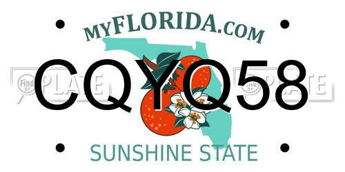 CQYQ58 Florida License Plate