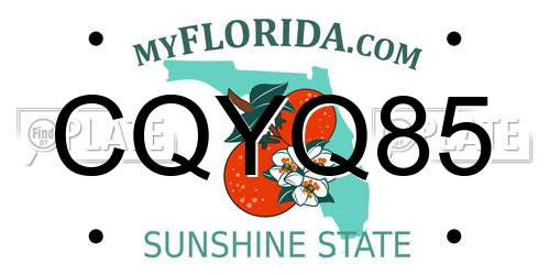 CQYQ85 Florida License Plate