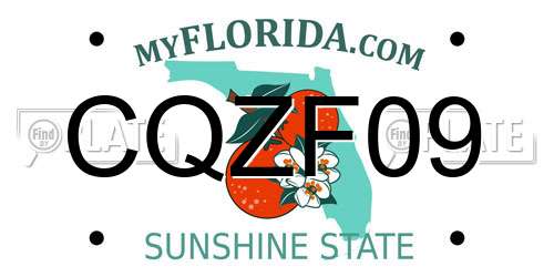 CQZF09 Florida License Plate
