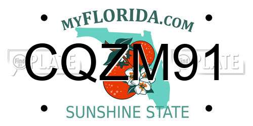 CQZM91 Florida License Plate