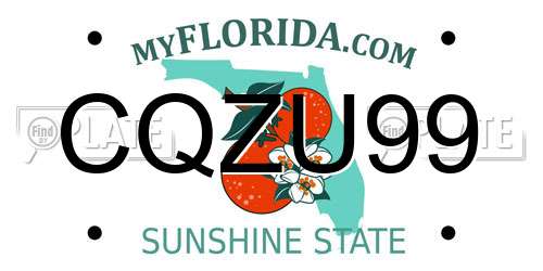 CQZU99 Florida License Plate