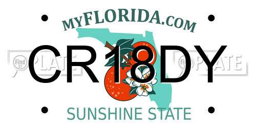 CR18DY Florida License Plate