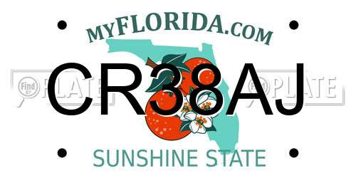CR38AJ Florida License Plate