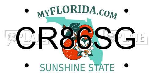 CR86SG Florida License Plate