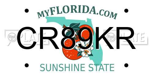 CR89KR Florida License Plate
