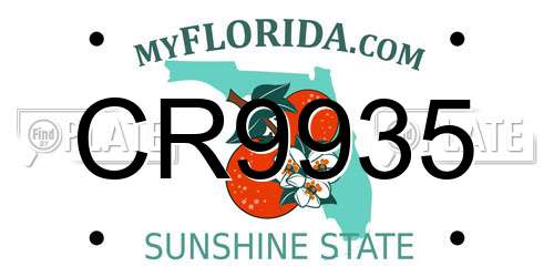 CR9935 Florida License Plate
