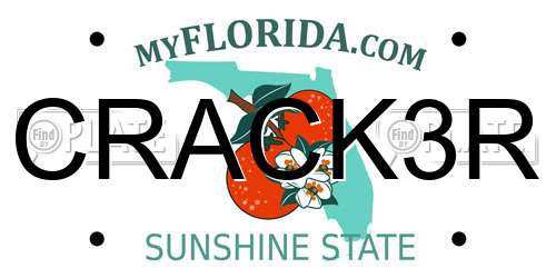 CRACK3R Florida License Plate