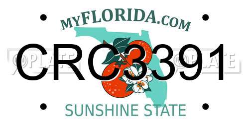 CRC3391 Florida License Plate
