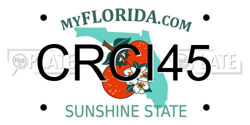 CRCI45 Florida License Plate