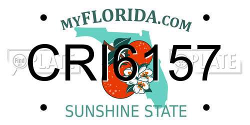 CRI6157 Florida License Plate