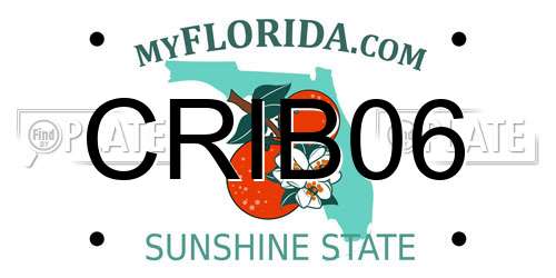 CRIB06 Florida License Plate