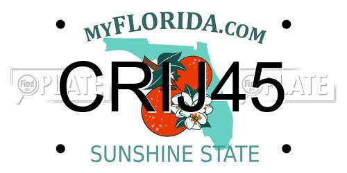 CRIJ45 Florida License Plate