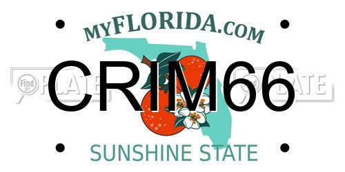 CRIM66 Florida License Plate