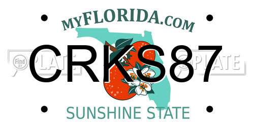 CRKS87 Florida License Plate