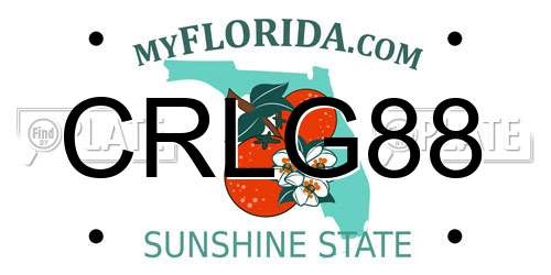 CRLG88 Florida License Plate